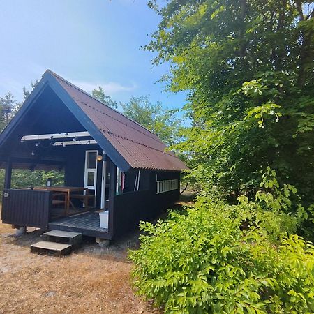 Tranum Klit Camping Og Hytteudlejning Brovst Exterior photo